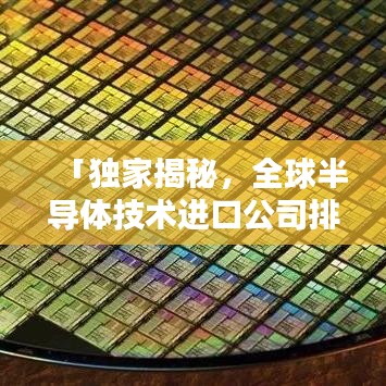 「獨(dú)家揭秘，全球半導(dǎo)體技術(shù)進(jìn)口公司排名及影響力深度解析」