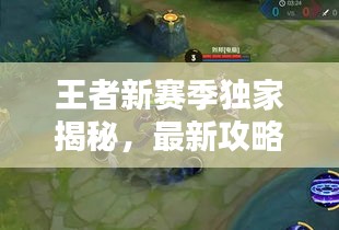 王者新賽季獨家揭秘，最新攻略與精彩軼聞一網(wǎng)打盡！