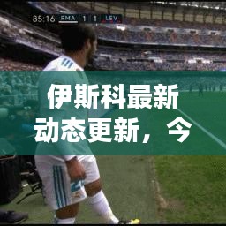 伊斯科最新動(dòng)態(tài)更新，今日消息揭秘！