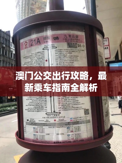 澳門公交出行攻略，最新乘車指南全解析