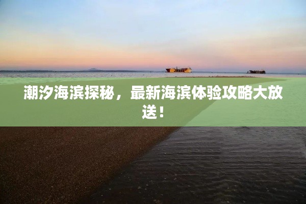 潮汐海濱探秘，最新海濱體驗(yàn)攻略大放送！