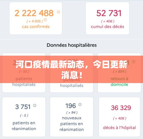 河口疫情最新動(dòng)態(tài)，今日更新消息！