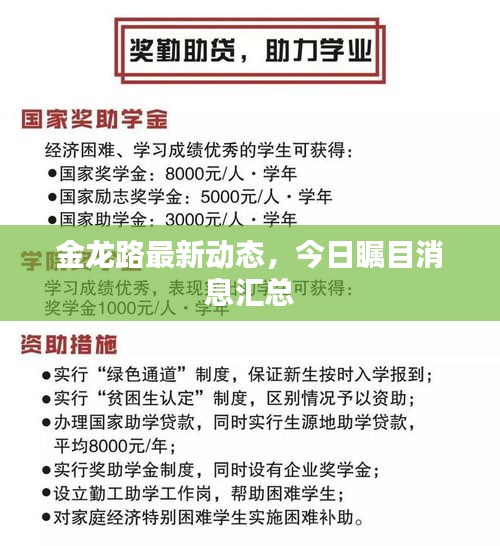 金龍路最新動態(tài)，今日矚目消息匯總