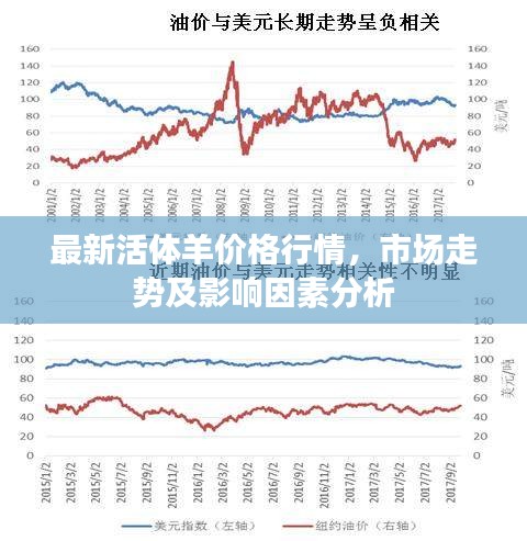 最新活體羊價格行情，市場走勢及影響因素分析