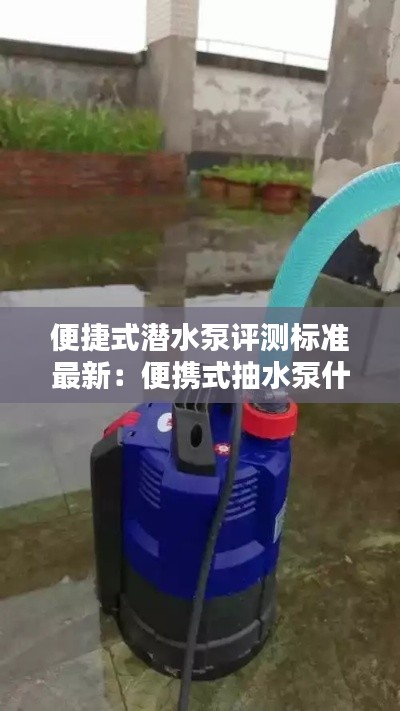 便捷式潛水泵評測標(biāo)準(zhǔn)最新：便攜式抽水泵什么牌子的好 