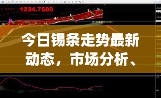 貴險(xiǎn)賤璧 第3頁