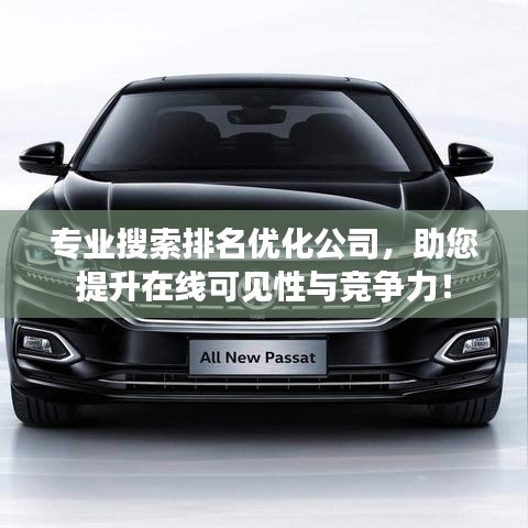 專業(yè)搜索排名優(yōu)化公司，助您提升在線可見(jiàn)性與競(jìng)爭(zhēng)力！