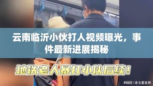 云南臨沂小伙打人視頻曝光，事件最新進(jìn)展揭秘