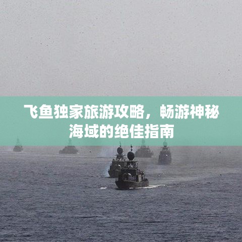 飛魚(yú)獨(dú)家旅游攻略，暢游神秘海域的絕佳指南