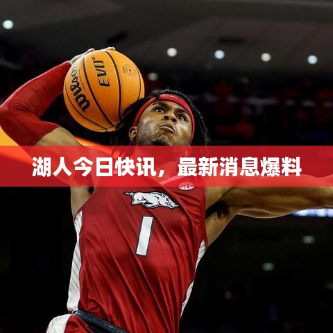 湖人今日快訊，最新消息爆料
