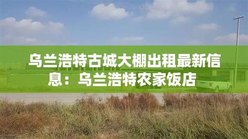 烏蘭浩特古城大棚出租最新信息：烏蘭浩特農(nóng)家飯店 