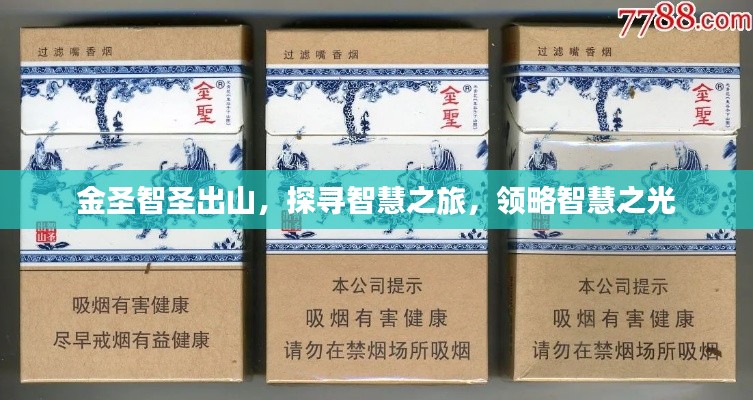 沉厚寡言 第4頁(yè)