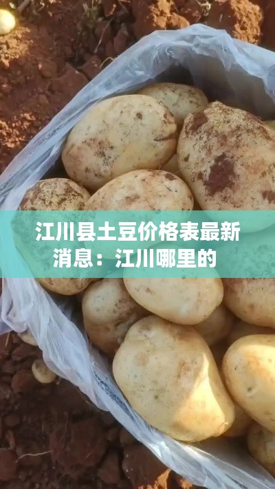 走馬觀花 第3頁