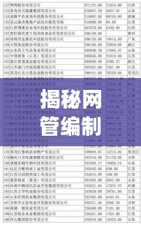 揭秘網(wǎng)管編制廠家排名前十強(qiáng)榜單！