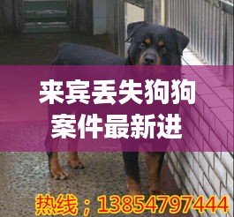 來賓丟失狗狗案件最新進(jìn)展：來賓狗養(yǎng)殖基地在哪里 