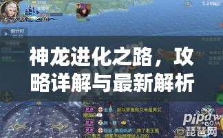 神龍進(jìn)化之路，攻略詳解與最新解析