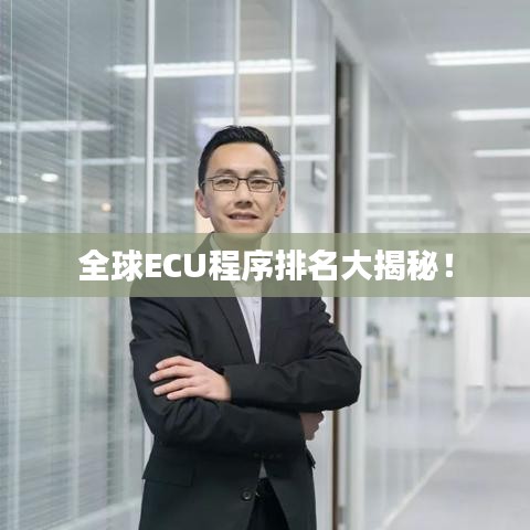 全球ECU程序排名大揭秘！