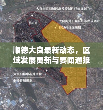 順德大良最新動(dòng)態(tài)，區(qū)域發(fā)展更新與要聞通報(bào)