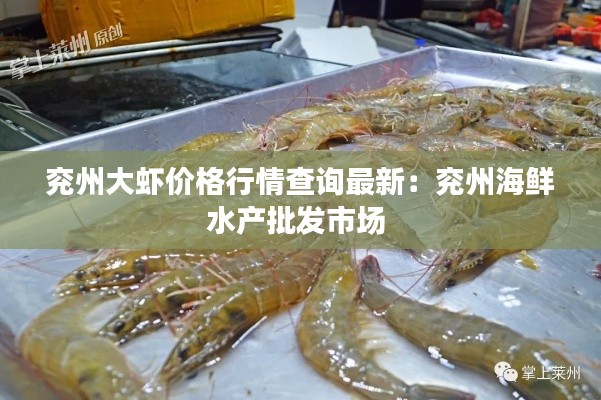 兗州大蝦價(jià)格行情查詢(xún)最新：兗州海鮮水產(chǎn)批發(fā)市場(chǎng) 