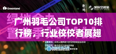 廣州羽毛公司TOP10排行榜，行業(yè)佼佼者展翅高飛領(lǐng)航未來