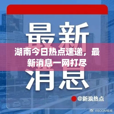 貌美如花 第3頁