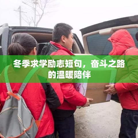 冬季求學(xué)勵志短句，奮斗之路的溫暖陪伴
