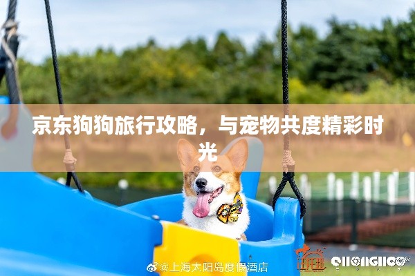 京東狗狗旅行攻略，與寵物共度精彩時光