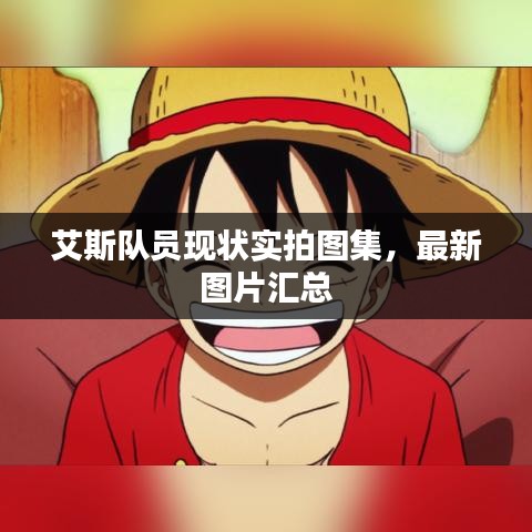 艾斯隊(duì)員現(xiàn)狀實(shí)拍圖集，最新圖片匯總