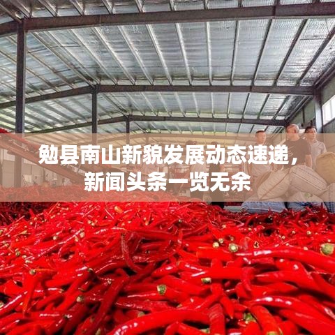 勉縣南山新貌發(fā)展動態(tài)速遞，新聞頭條一覽無余