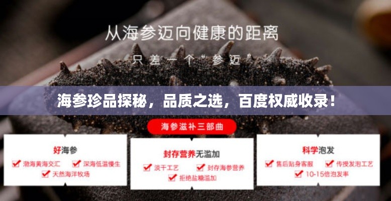 海參珍品探秘，品質(zhì)之選，百度權(quán)威收錄！