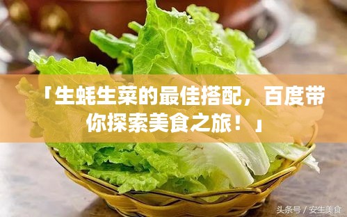 「生蠔生菜的最佳搭配，百度帶你探索美食之旅！」