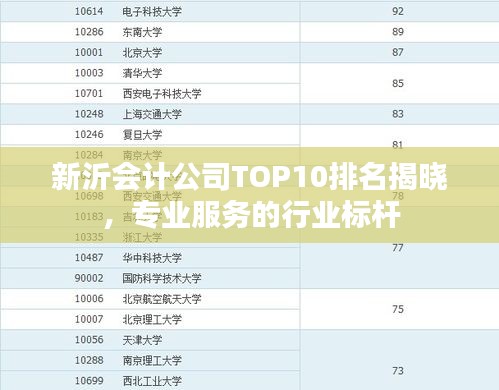 新沂會計公司TOP10排名揭曉，專業(yè)服務的行業(yè)標桿