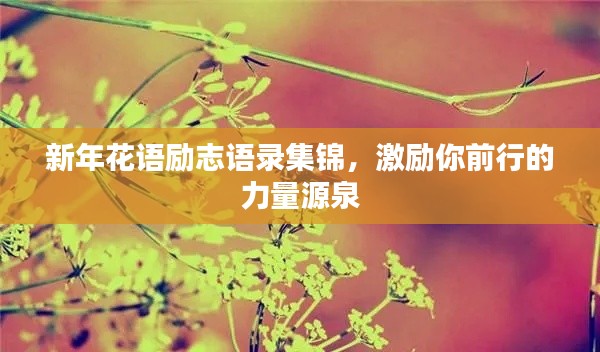 新年花語勵(lì)志語錄集錦，激勵(lì)你前行的力量源泉
