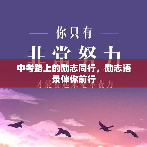 中考路上的勵志同行，勵志語錄伴你前行