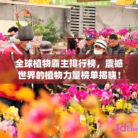 全球植物霸主排行榜，震撼世界的植物力量榜單揭曉！