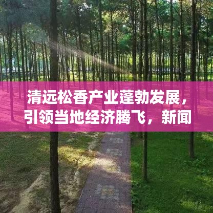 清遠松香產(chǎn)業(yè)蓬勃發(fā)展，引領當?shù)亟?jīng)濟騰飛，新聞頭條揭秘松香魅力