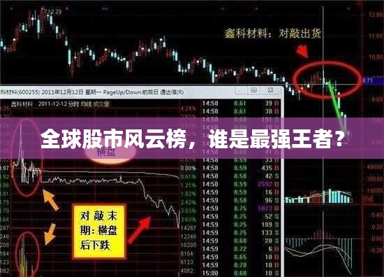 全球股市風云榜，誰是最強王者？