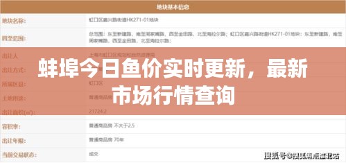 蚌埠今日魚價實(shí)時更新，最新市場行情查詢