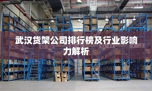 武漢貨架公司排行榜及行業(yè)影響力解析