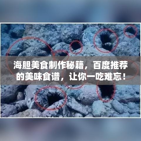 海膽美食制作秘籍，百度推薦的美味食譜，讓你一吃難忘！