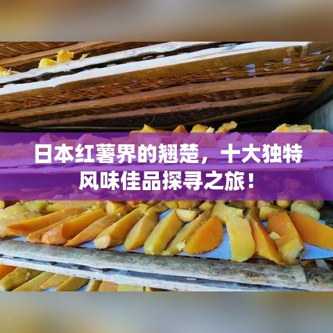日本紅薯界的翹楚，十大獨(dú)特風(fēng)味佳品探尋之旅！