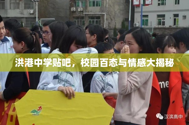 洪港中學(xué)貼吧，校園百態(tài)與情感大揭秘