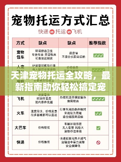 天津?qū)櫸锿羞\(yùn)全攻略，最新指南助你輕松搞定寵物出行！
