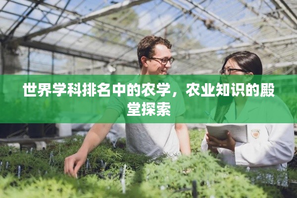 世界學(xué)科排名中的農(nóng)學(xué)，農(nóng)業(yè)知識的殿堂探索