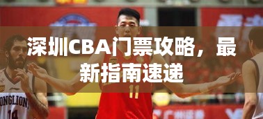 深圳CBA門票攻略，最新指南速遞
