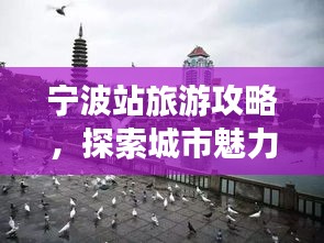 寧波站旅游攻略，探索城市魅力必覽！