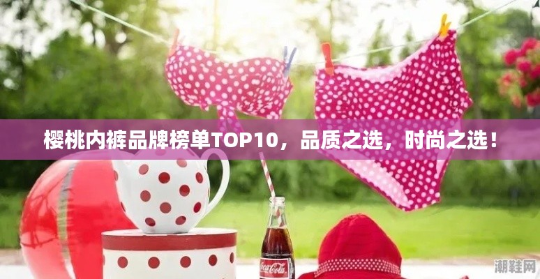 櫻桃內(nèi)褲品牌榜單TOP10，品質(zhì)之選，時(shí)尚之選！