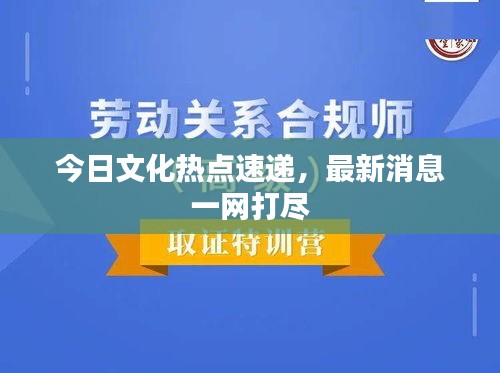 今日文化熱點速遞，最新消息一網(wǎng)打盡