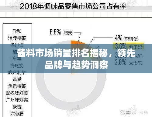 醬料市場(chǎng)銷量排名揭秘，領(lǐng)先品牌與趨勢(shì)洞察