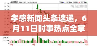 孝感新聞頭條速遞，6月11日時事熱點全掌握
